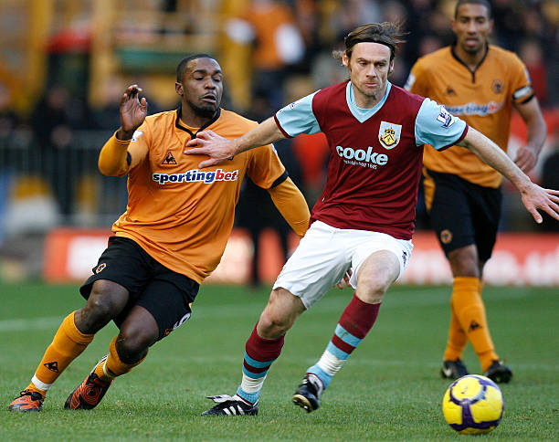 黄蜂若能为 黄蜂若能为